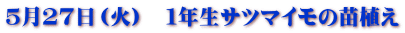 T27i΁j@PNTc}C̕cA